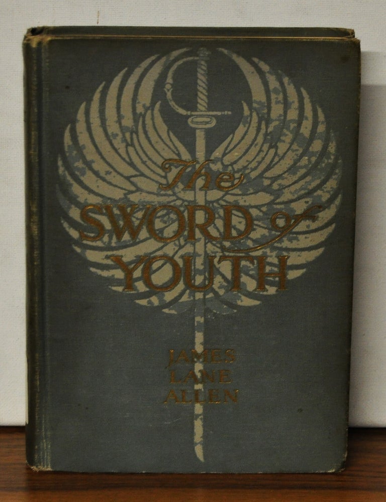 Item #3810092 The Sword of Youth. James Lane Allen.