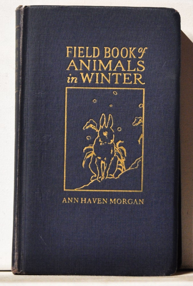 Item #3880038 Field Book of Animals in Winter. Ann Haven Morgan.