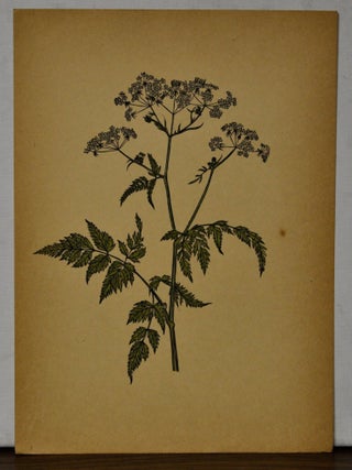 Sieben Bl&auml;tter aus dem Blumenbuch