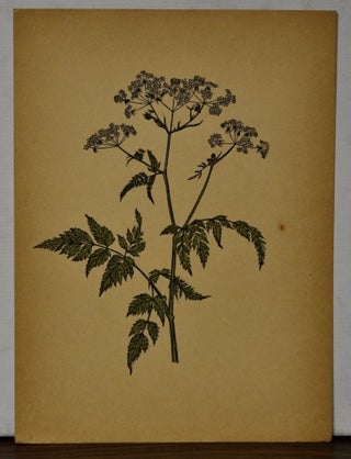 Sieben Blätter aus dem Blumenbuch