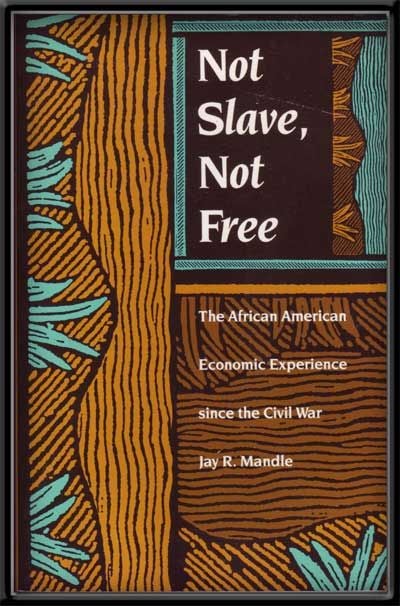 Item #5280023 Not Slave, Not Free: The African American Economic Experience Since the Civil War. Jay R. Mandle.